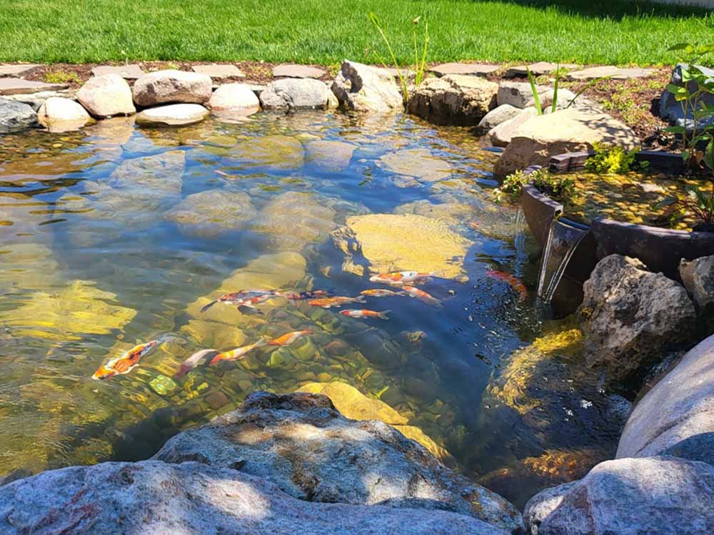 Resized_Resized_20220517_132038 Pond Installation, IL