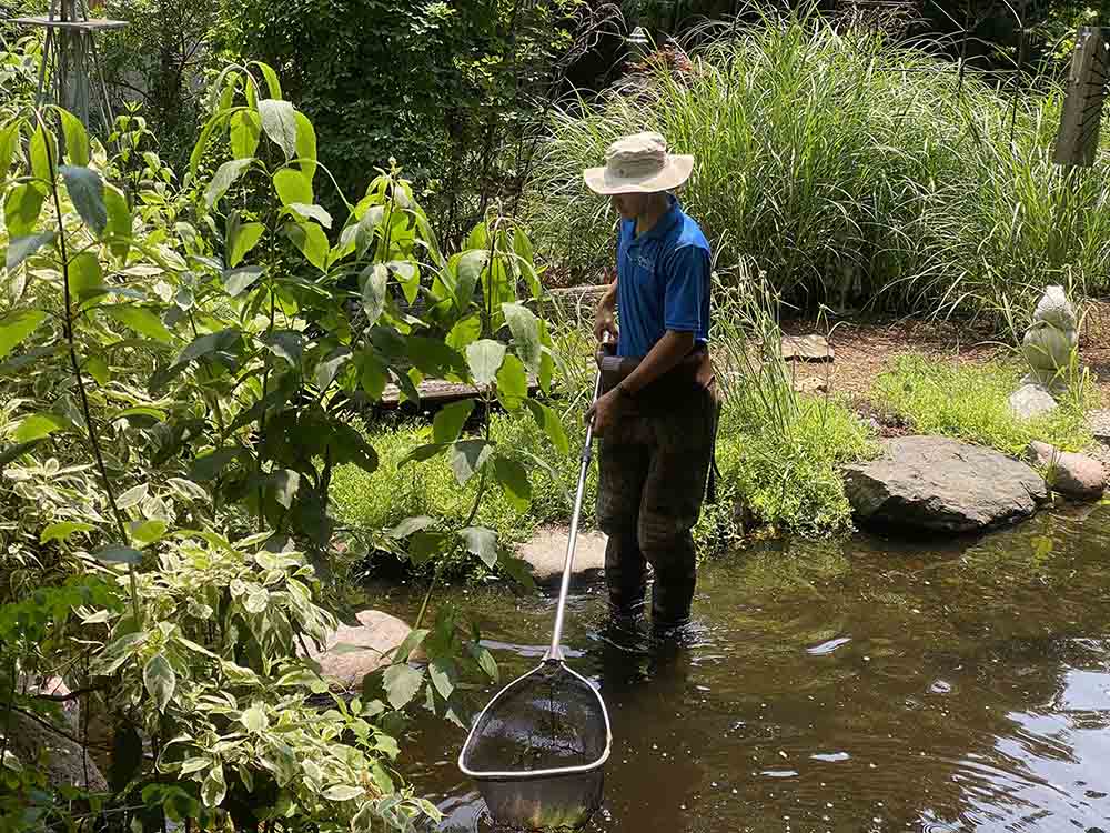 Pond Maintenance, IL