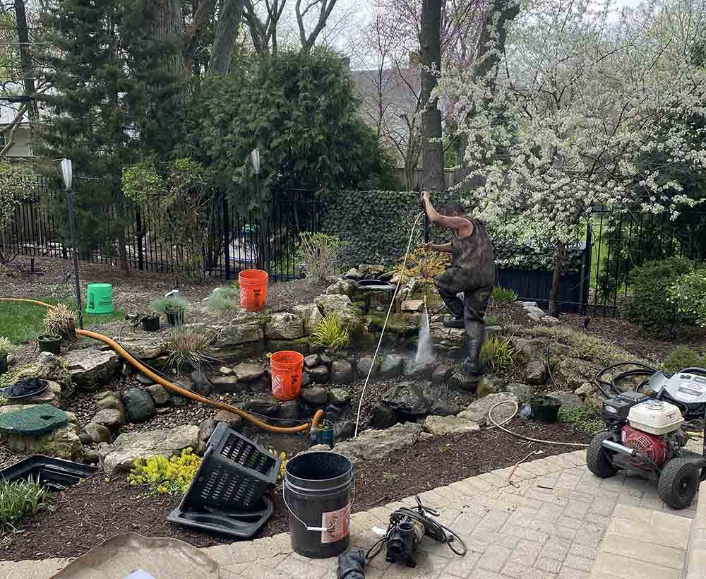 Pond & Water Garden Cleaning